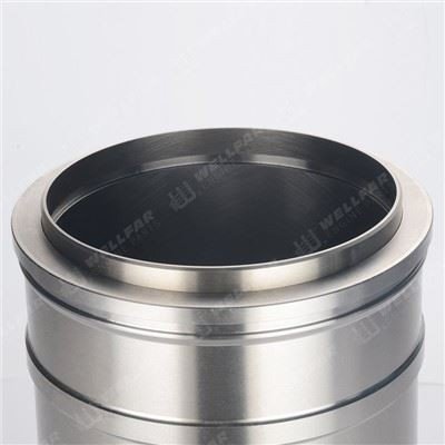 Detroit DD15 Liner A4720111310 139mm OE Quality