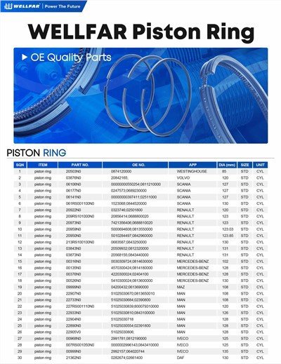 2023 Piston Ring For Europe Car And Truck